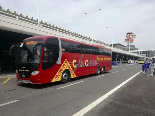 Ferrovie del Gargano/ Da oggi collegamento bus con Roma Fiumicino