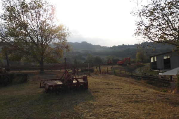 Promozione e valorizzazione attivita delle aziende agricole-zootecniche operanti nel territorio di Vieste.