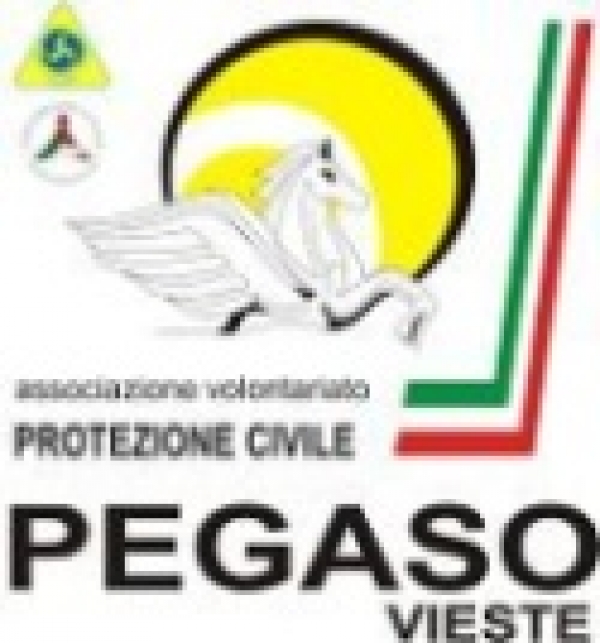 Vieste/ EMERGENZA MALTEMPO: SENZA SOSTA LE ATTIVITA DI PROTEZIONE CIVILE  DELLA PEGASO
