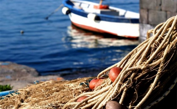 Benefici per giovani imprenditori del Sud e indennit per pescatori