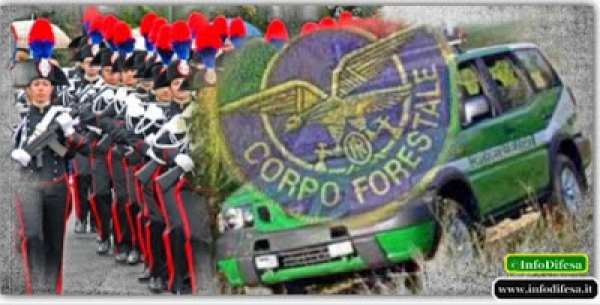 Con la riforma Madia addio al Corpo Forestale confluisce nei Carabinieri