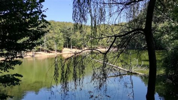 Isole Tremiti e Foresta Umbra designate Zone Speciali di Conservazione