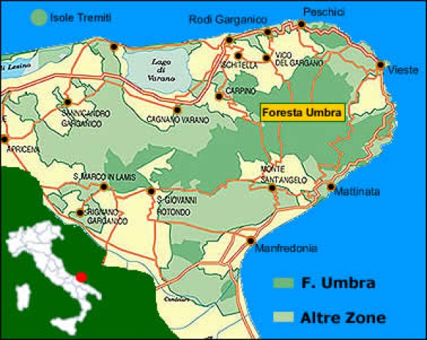 Parco/ Diventare biosfera Unesco opportunità per il territorio. Se ne è discusso in un convegno a Vico del Gargano