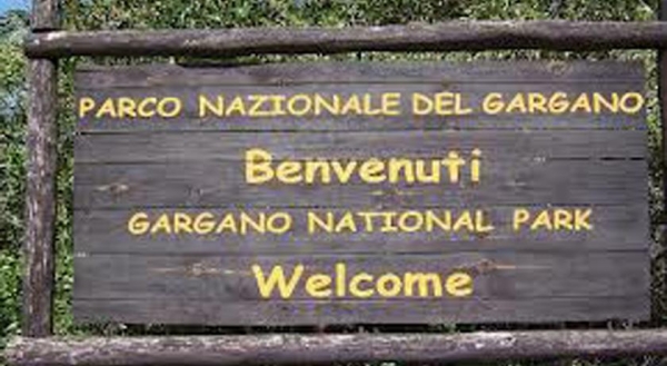 Monte S. Angelo/ In 42 chiedono di diventare direttore del Parco del Gargano. Domande da tutta Italia. La nomina spetterà al Ministero. La commissione conta di chiudere a breve.