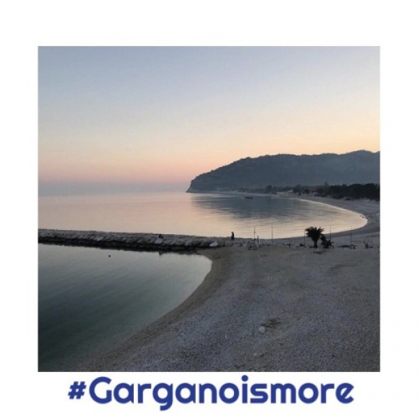 Vieste -  “#GARGANOISMORE”, VENERDÌ 6 APRILE IL PRIMO “TAVOLO DI CONSULTAZIONE” CON IL TERRITORIO