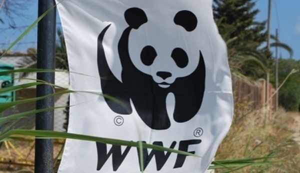 Il WWF esprime apprezzamento sul no alle grandi navi da crociera alle Isole Tremiti. Riceviamo e pubblichiamo.